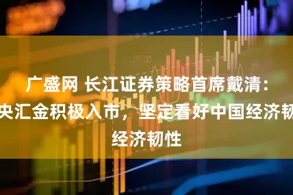 广盛网 长江证券策略首席戴清：中央汇金积极入市，坚定看好中国经济韧性