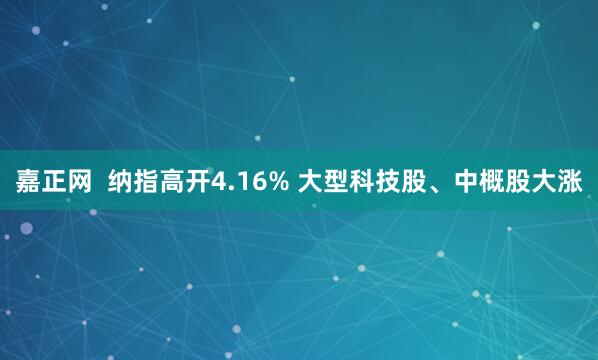 嘉正网  纳指高开4.16% 大型科技股、中概股大涨