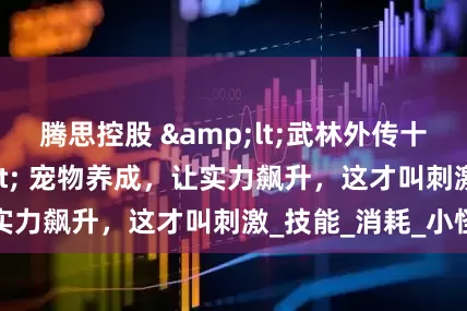 腾思控股 &lt;武林外传十年之约&gt; 宠物养成，让实力飙升，这才叫刺激_技能_消耗_小怪