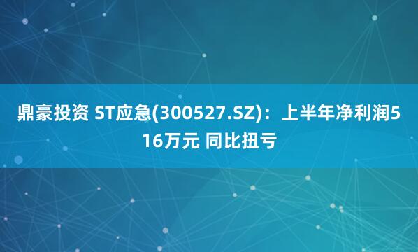 鼎豪投资 ST应急(300527.SZ)：上半年净利润516万元 同比扭亏