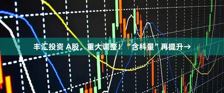 丰汇投资 A股，重大调整！“含科量”再提升→